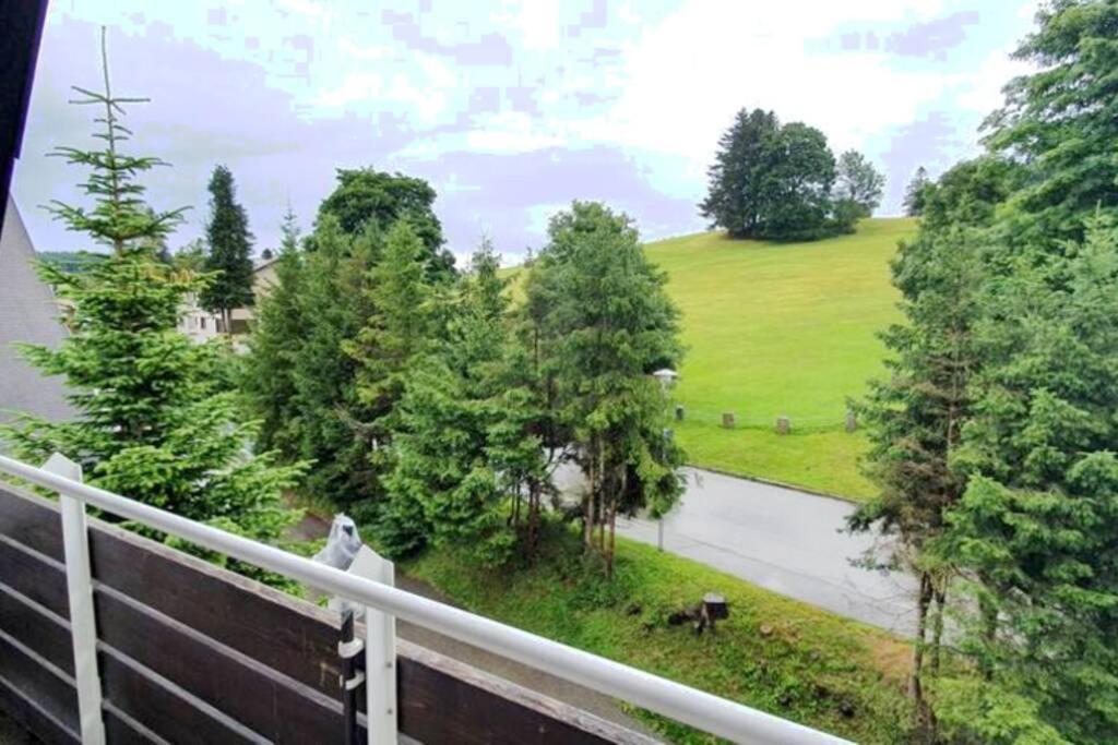Black Forest Kuckucksnest Schoenwald Im Schwarzwald Exterior photo