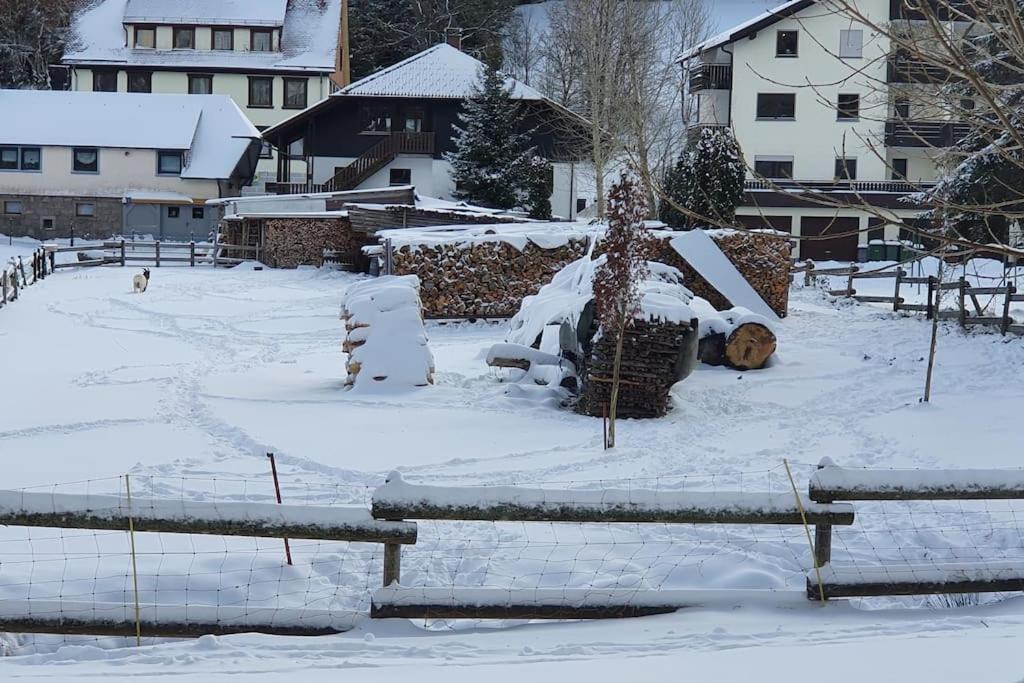 Black Forest Kuckucksnest Schoenwald Im Schwarzwald Exterior photo